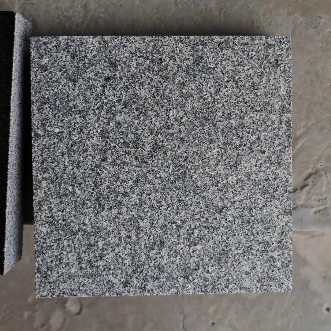 Cambodia Sesame Black Granite Slab/Tiles/Flooring Tile/Treade/Staris /Garden Paving