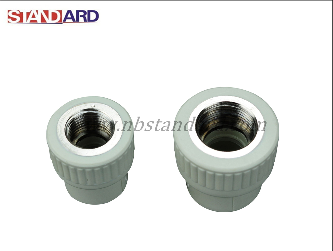 PPR Female Straight/Female Coupling/PPR Fitting/PPR Pipe