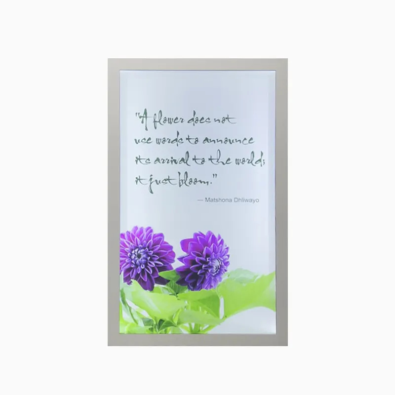 Прозрачный LCD дисплей для рекламы 21.5-86 дюймов