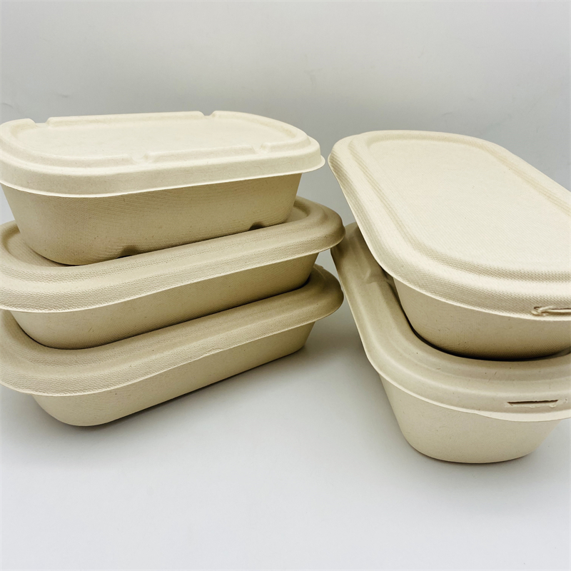 2 Compartment 1000ml Disposable Natural Salad Bowl with Lid