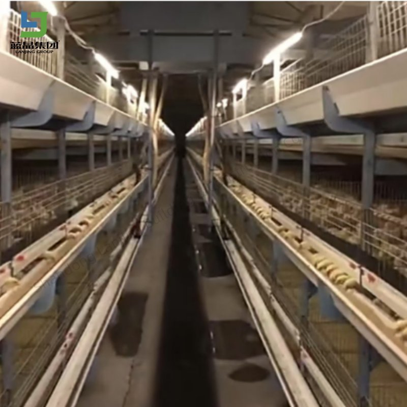 Low Cost Design Prefabricated Steel Structure Poultry Farm Prefab Slaughter House Equipment Cattle House Insulated Chicken House
