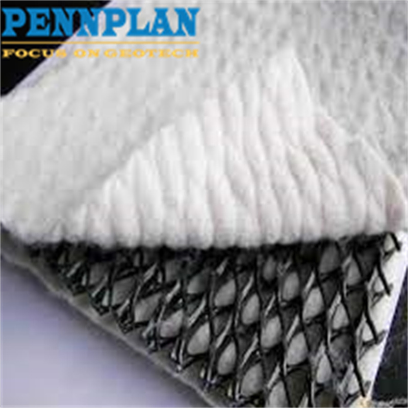 HDPE 3D Geonet Geocomposite Drainage Net