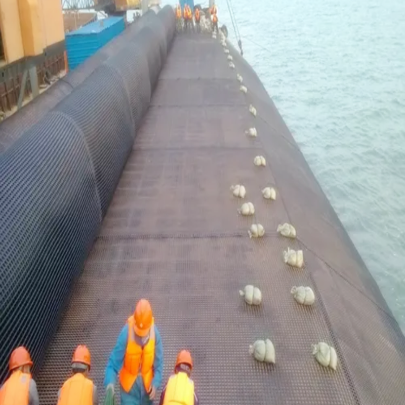 Asphalt Pavement Reinforced Glass Fiber Grille HDPE Geoglille