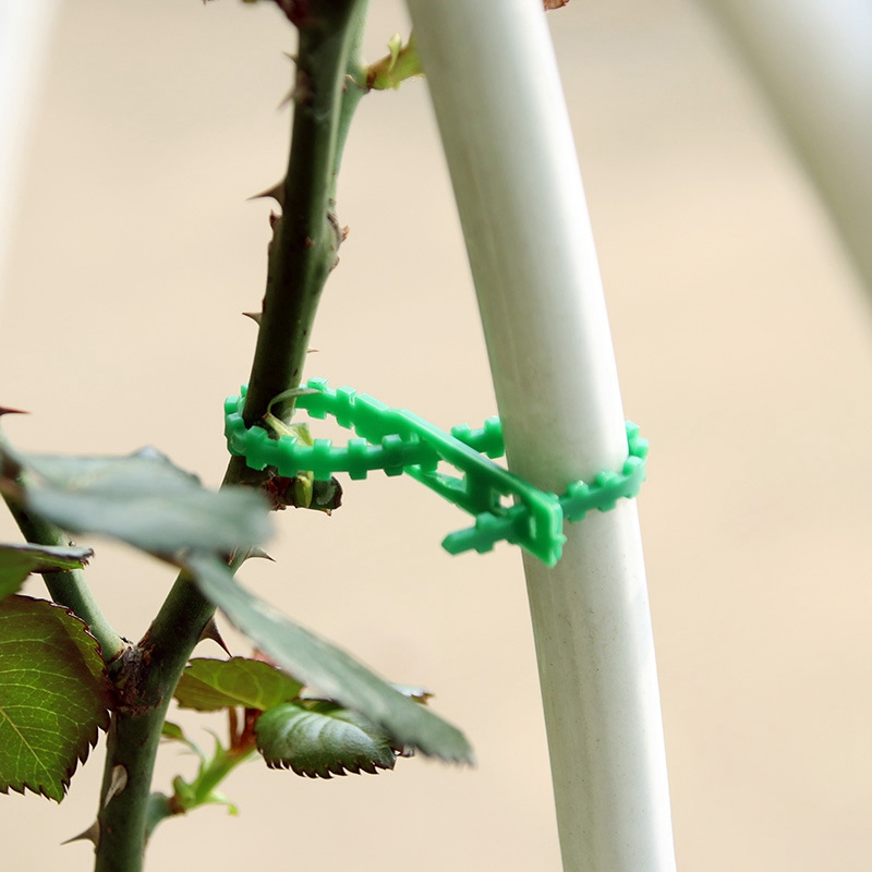 30/50/100/200PCS Reusable Garden Cable Ties Plant Support Shrubs Fastener Tree Locking Nylon Adjustable Plastic Cable Ties