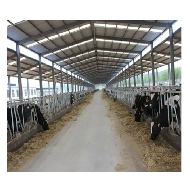 Storage Poultry Chicken Poultry Farm Shed Low Price Prefab Steel Structure Dairy Cow Shed