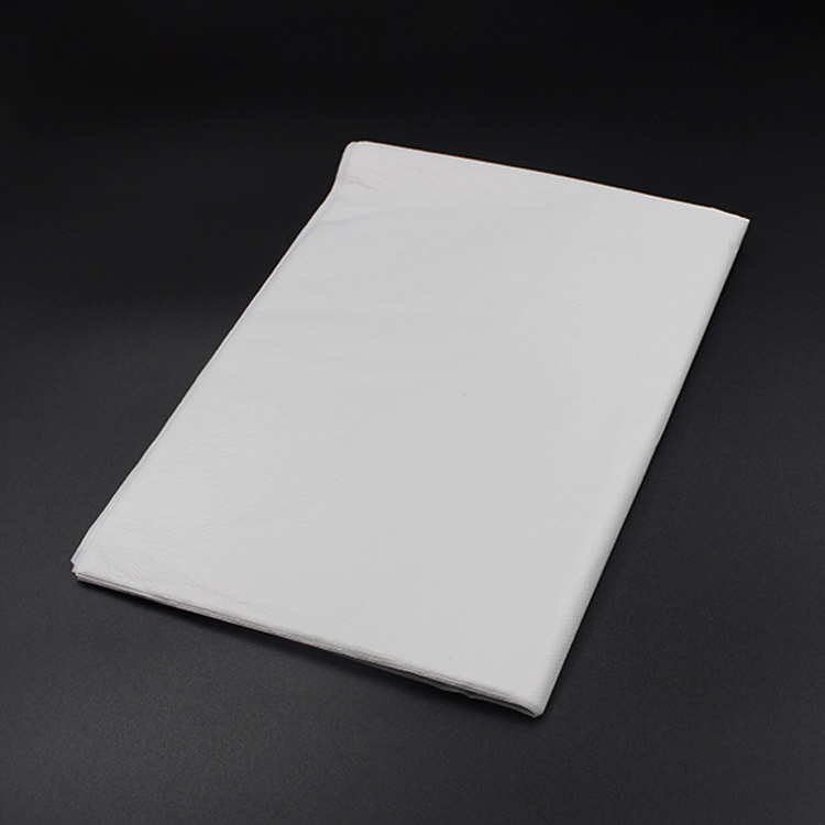 Waterproof Medical/Hospital/Dental/PP/Nonwoven/Poly/HDPE/LDPE/Plastic Disposable PE Apron for Food Processing Industry Service/Hotel/Restaurant Cooking/Safety