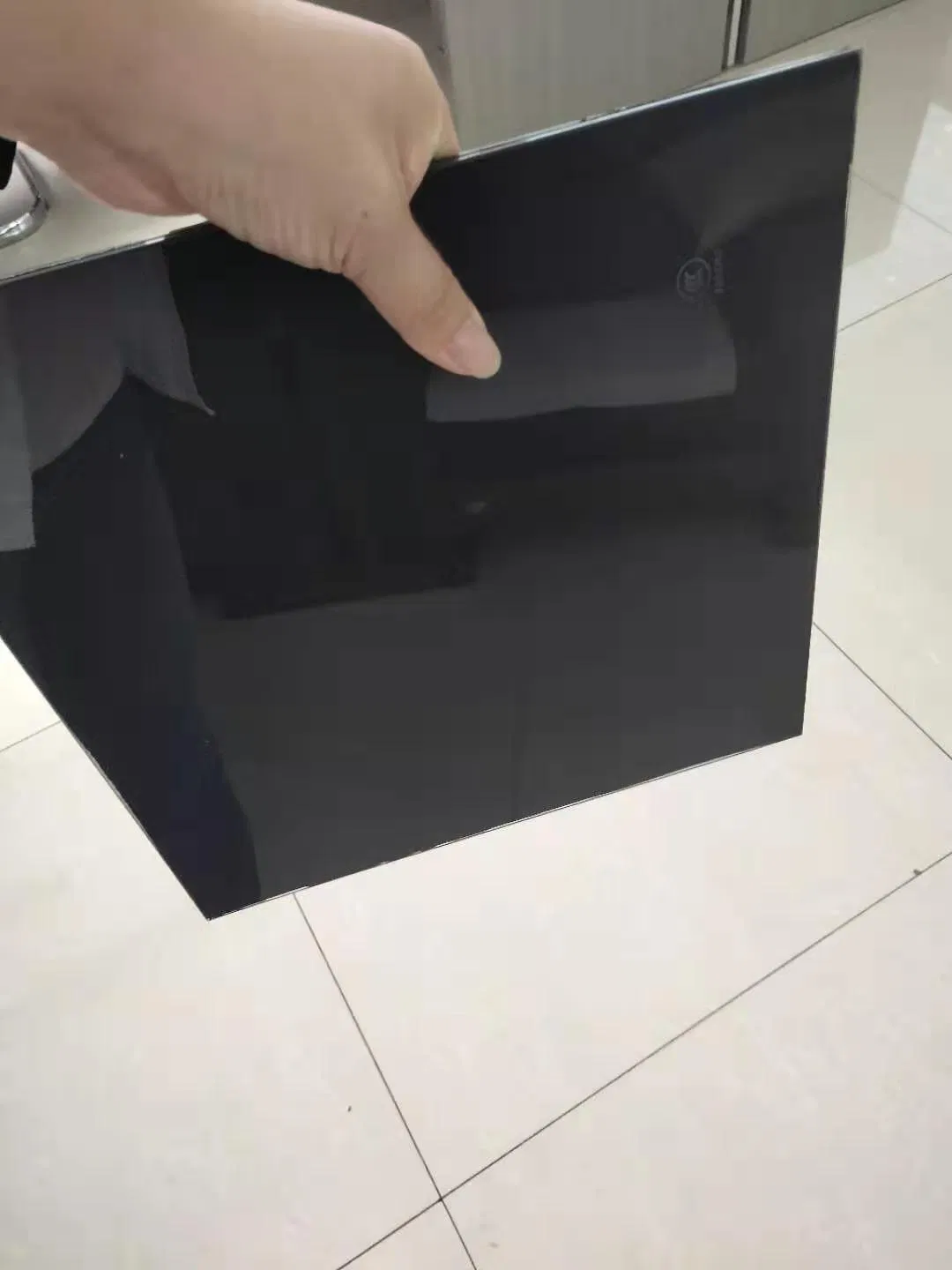 Low-E Glass/Glass Curtain Wall/Dgu Glass