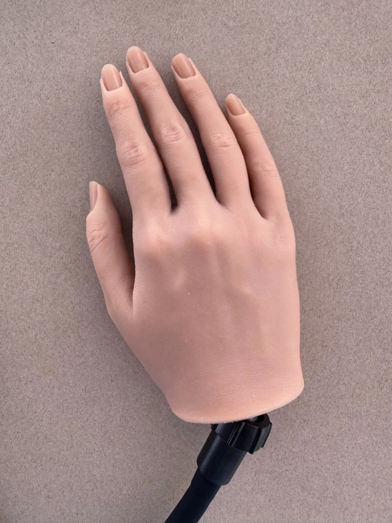 Nail Art Practice Hand Painted Silicone Fake Hand Training Model Nail Tool Display Bracket