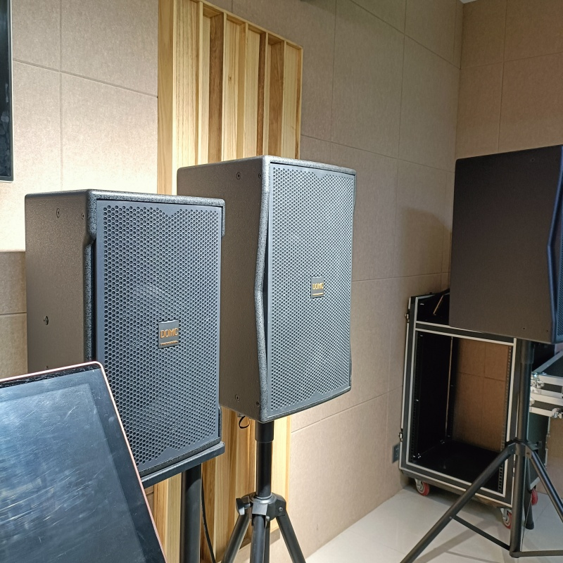 Domc K210 10-Inch Speaker: Superior Sound for Studios