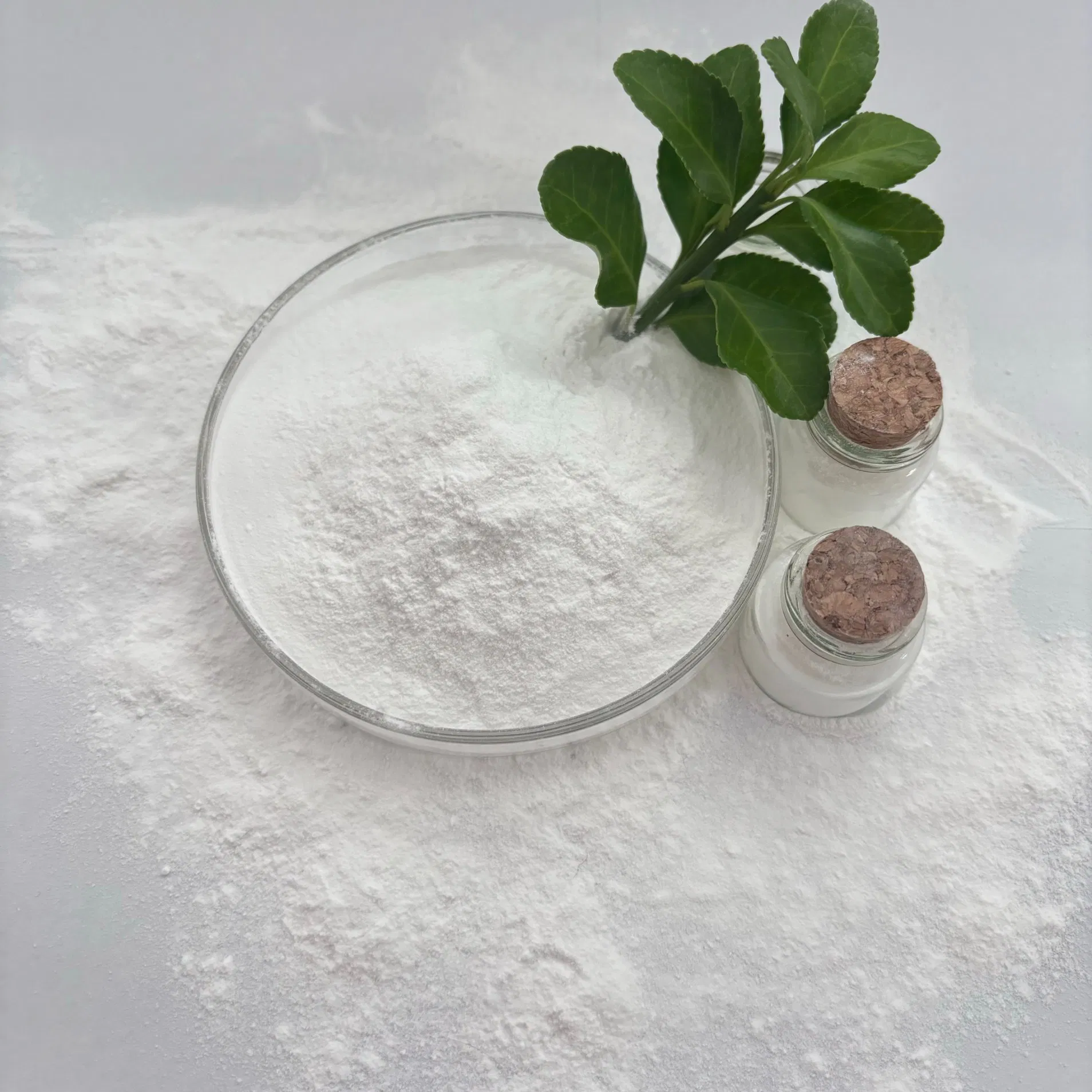 Building Materials Gypsum Additive Gypsum Retarder