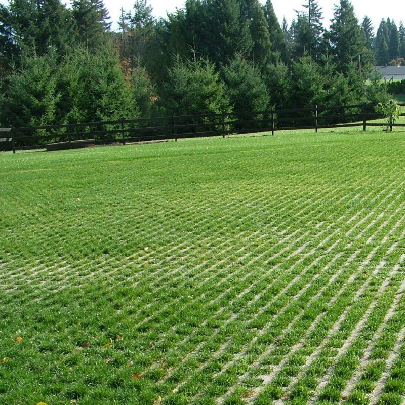 Plastic Grass Paver Grid with Grass High 38mm 48mm Erosion Control Solution