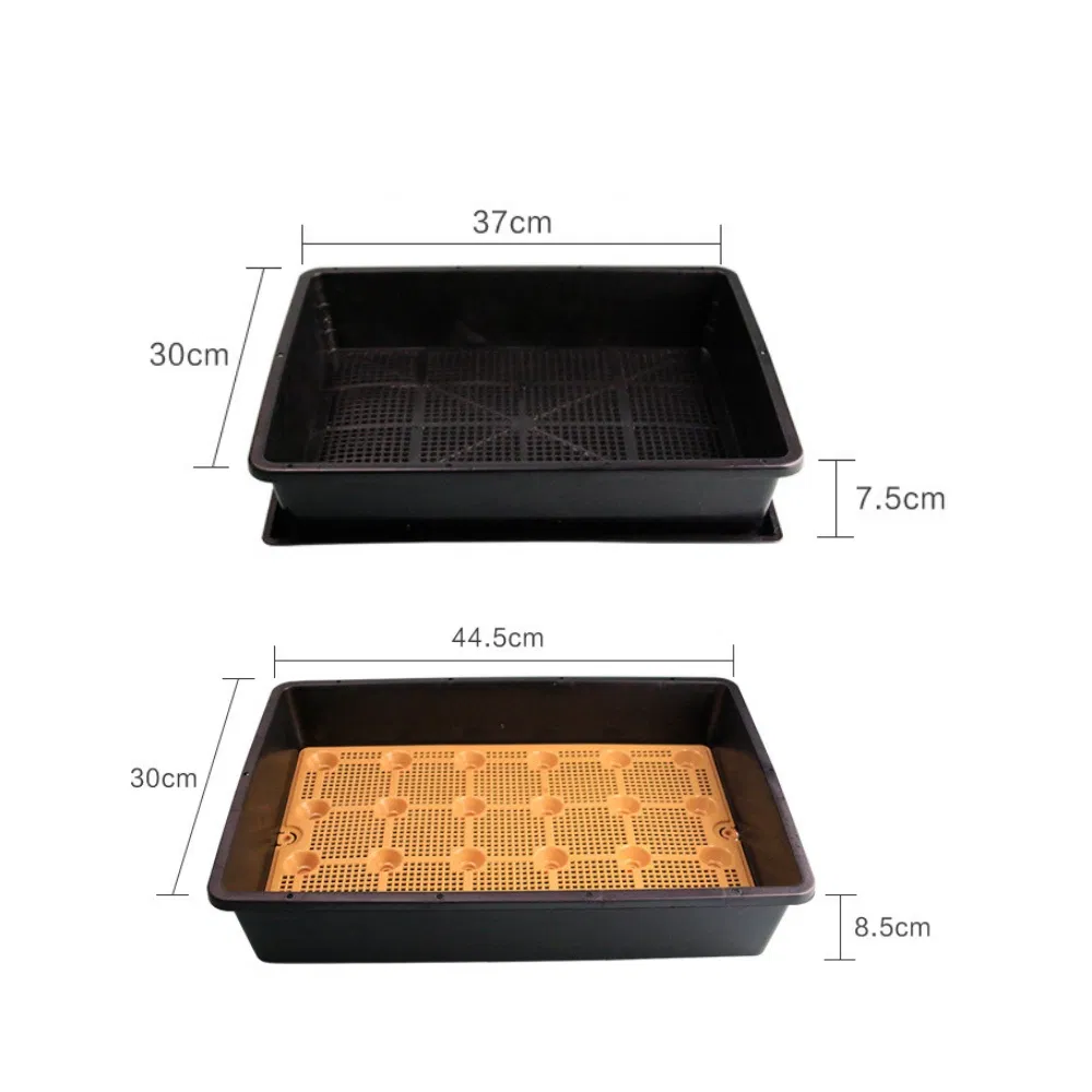 Мини-парник для рассады с прозрачной крышкой