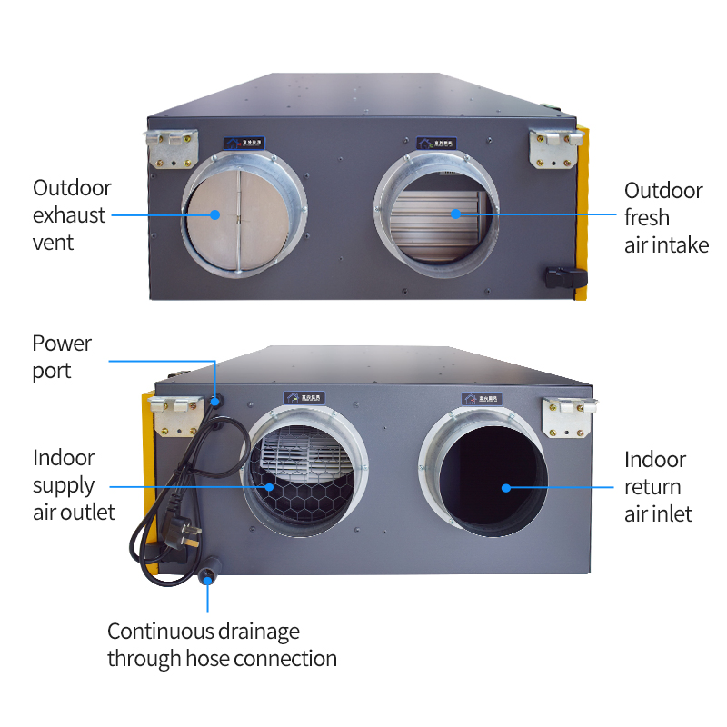 Wholesale Dehumidifier High Quality Low Price Air Dryer Intelligent for Home Hotel