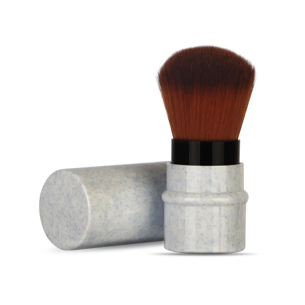 High Quality Wheat Straw Plastic Handle Telescoping Brush