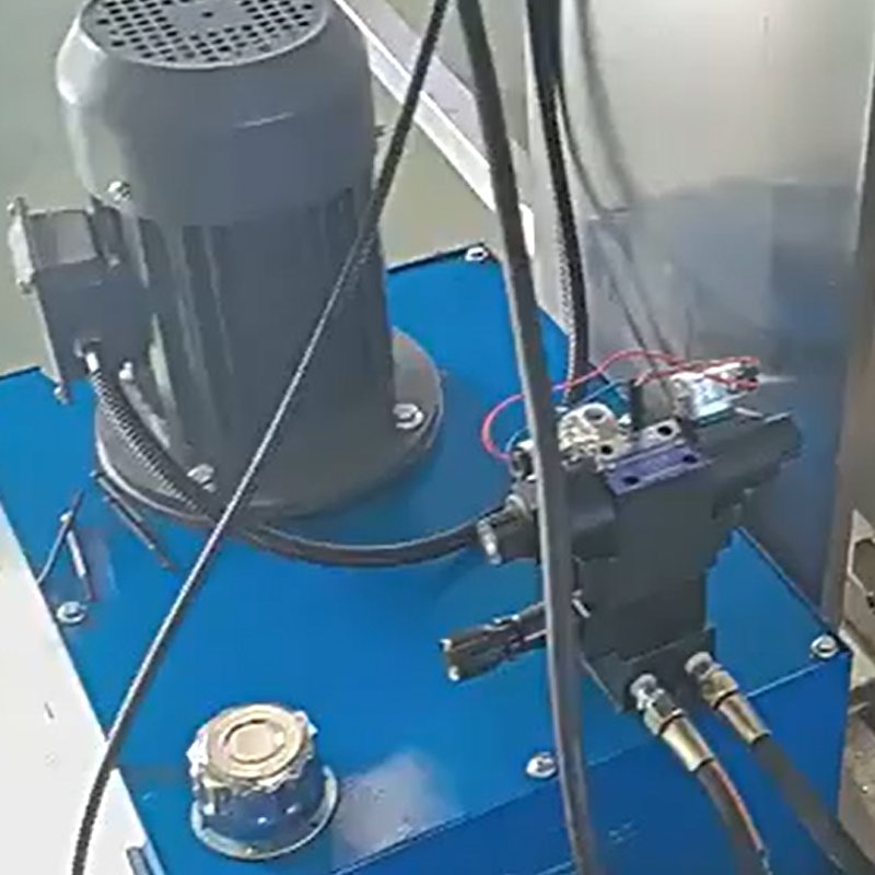 Pure Fruit Grape Dehydrator Presser Machine