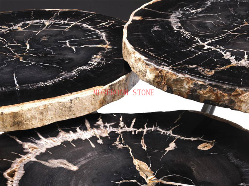 Gemstone Black Petrified Wood Slab