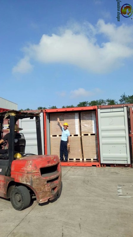 Paper Straw/food wrapping paper