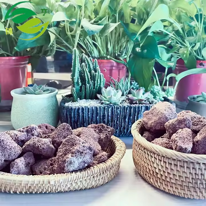 Wholesale Natural Landscape Lava Beads Volcanic Grill Stone Volcanic Rock for Face From China