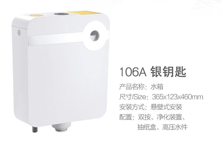 Toilet Cistern with Dual Flush Button