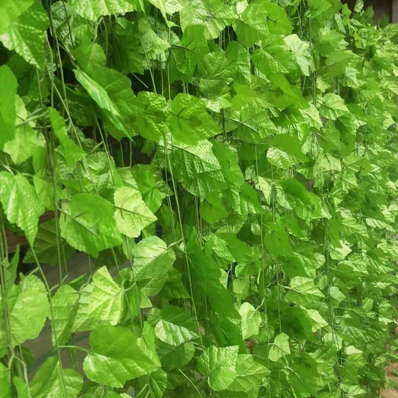 Растения искусственные виноградные лозы ротанг настенные