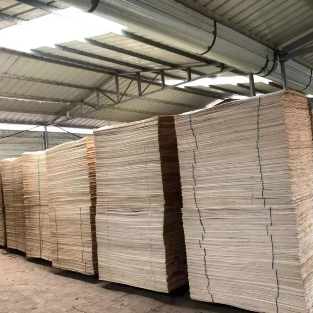 Birch Wood Veneer Birch Face for Indonesia Plywood