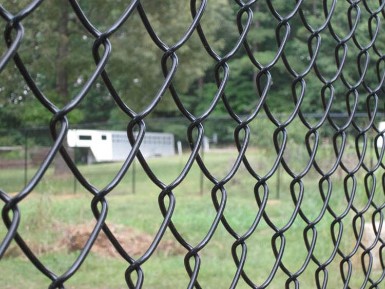 Hot Dipped Galvanized Chain Link Fence/ Fencing Used as Fence