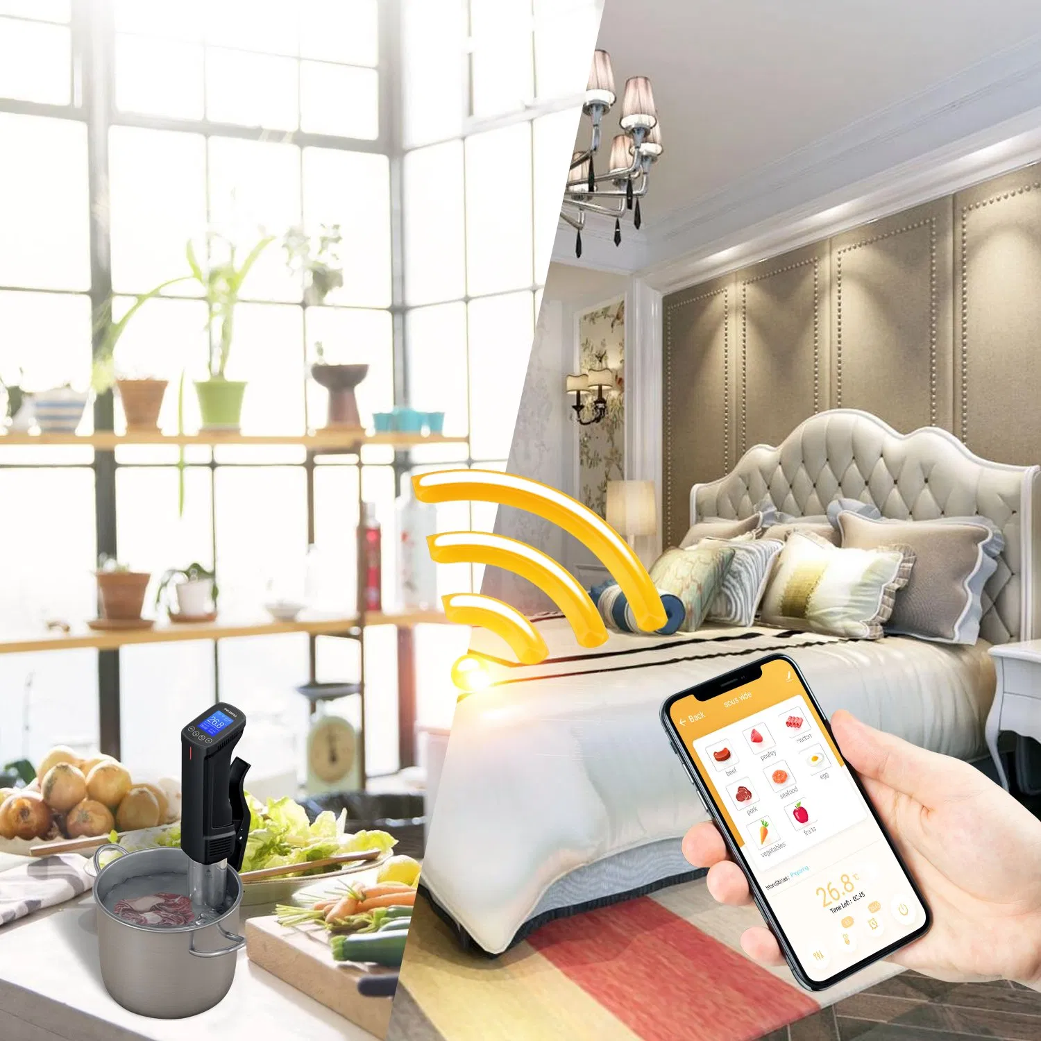 Inkbird Isv-100W APP Control Easy to Use Sous Vide Cooker