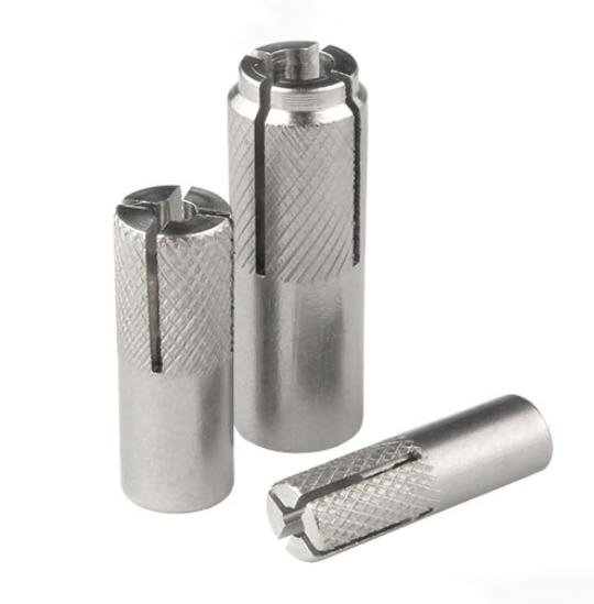 Stainless Steel Drop in Anchor Bolt