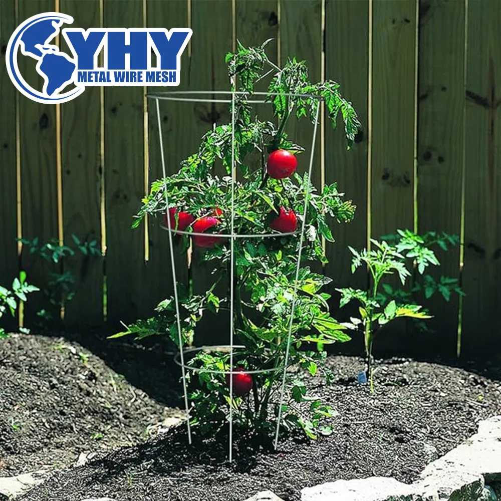 Tomato Cage Vegetable Climbing Support