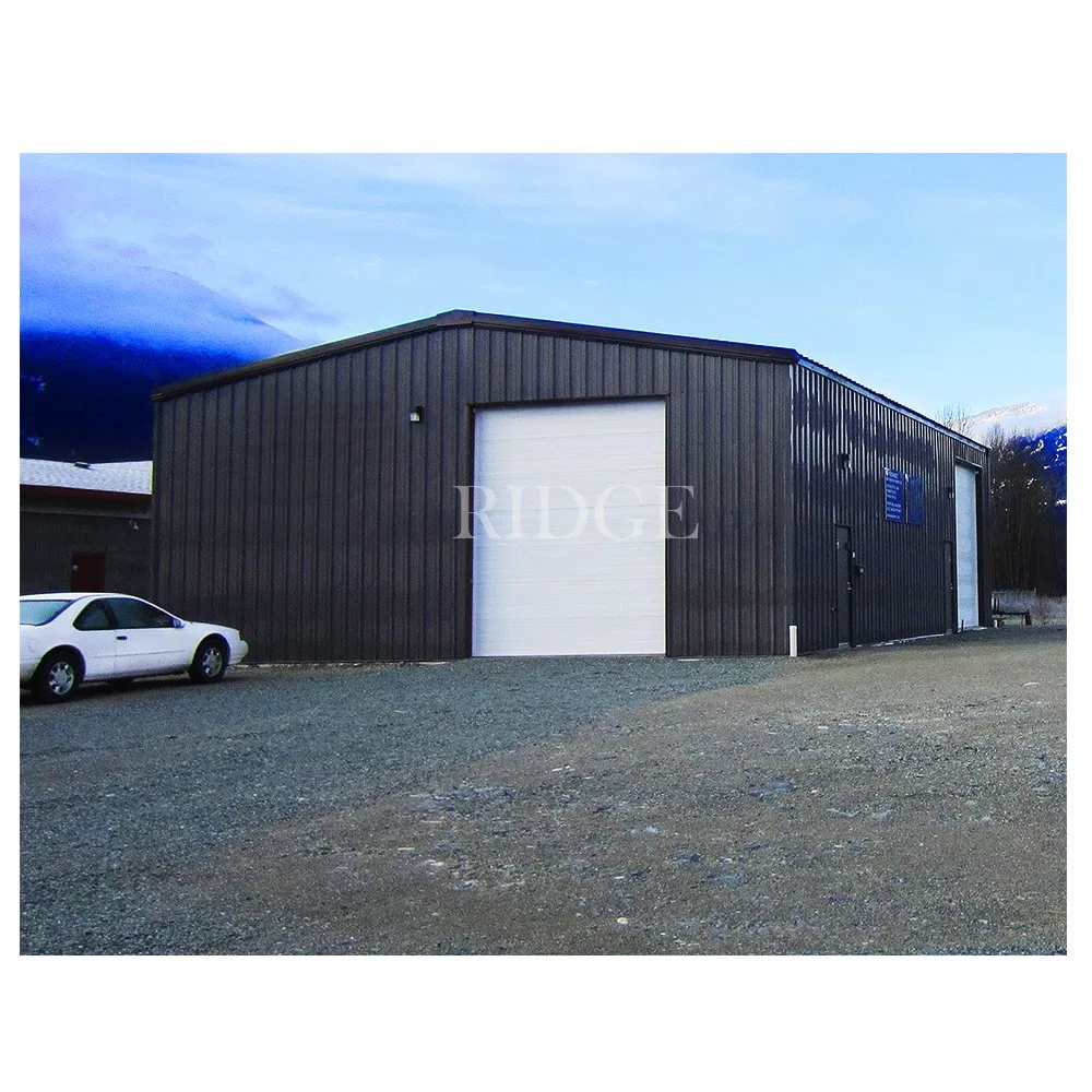 Low Price Steel Large Space Frame Construction Building Structure for 50 Years