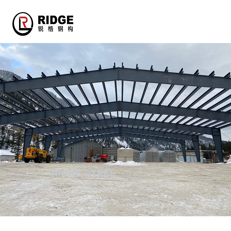 Anti-Rust Painting China Low Cost Waterproof Factory Workshop Steel Building Structure