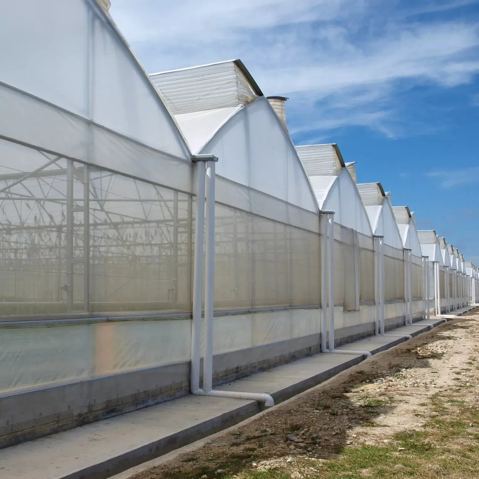 PE Po Agriculture Greenhouse for Vegetables fruit