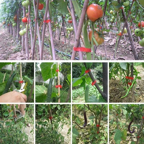 Grapebranch Plantvine Binding Device Tapetool Tying Machine