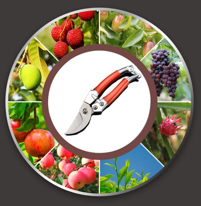 Секатор садовый Anli, сталь, для обрезки деревьев