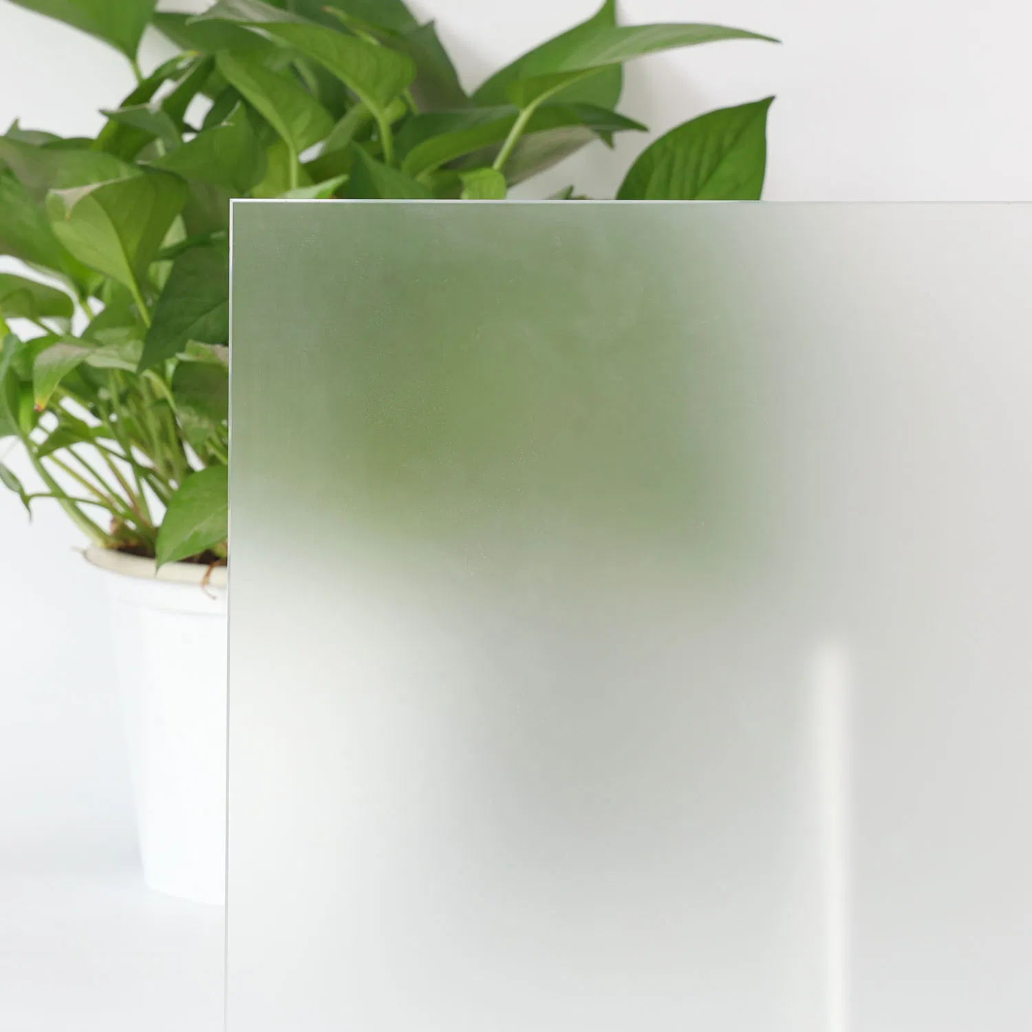 Exquisite Craftsmanship Float Glass with Stylish Bathroom Glass Appeal