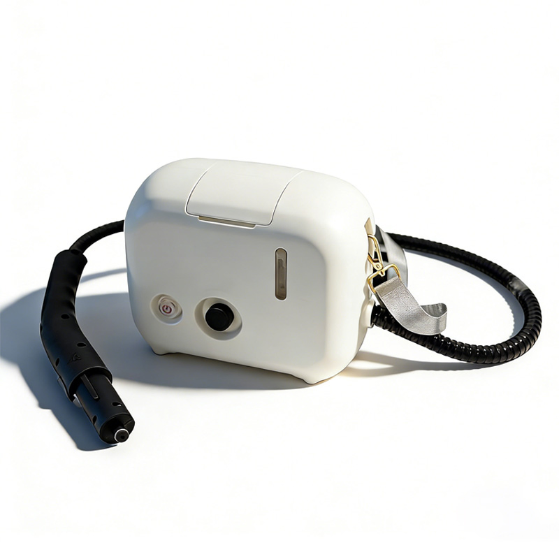 1500W Multi-Function Pressurized Portable Steam Cleaner