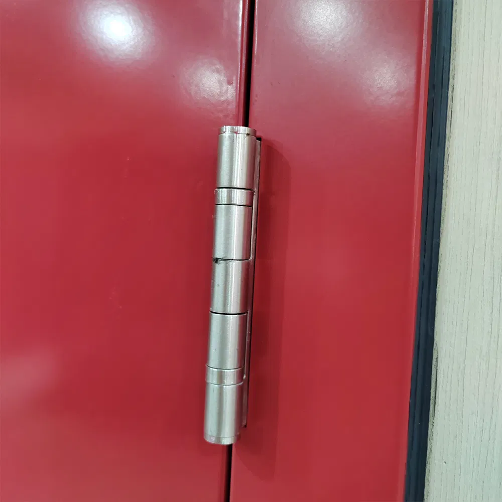 Bulk Supply BS Fd30-120 Fire Doors - Custom Sizes Galvanized Steel Factory Direct
