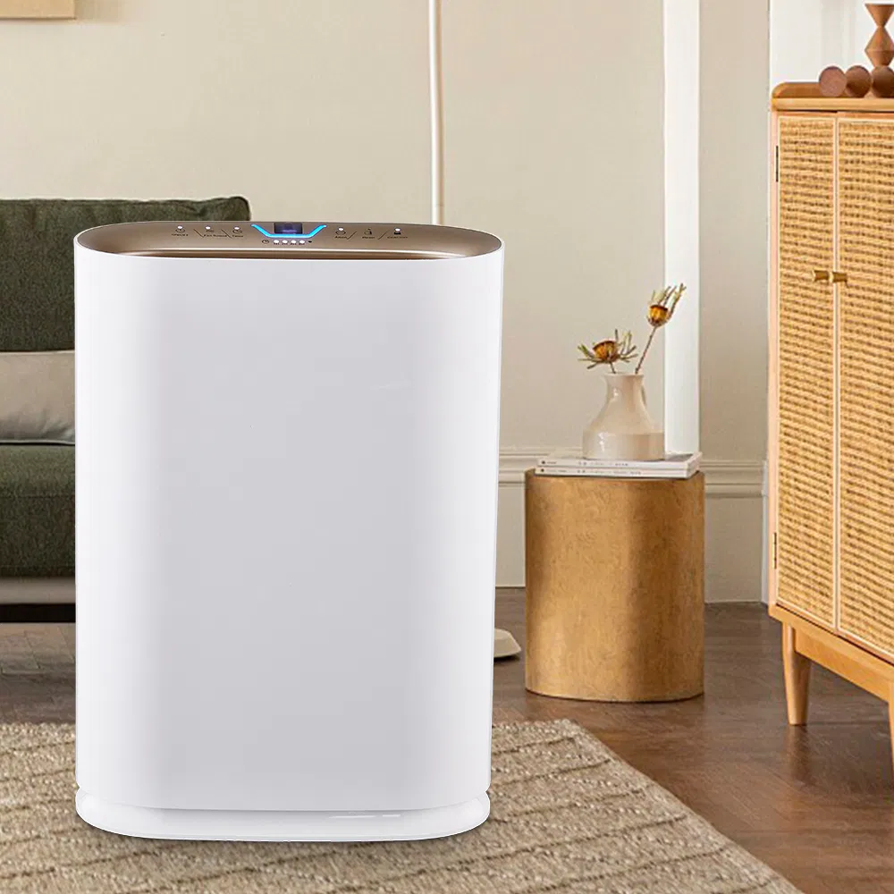 Air Purifier From China Supplier Beilian