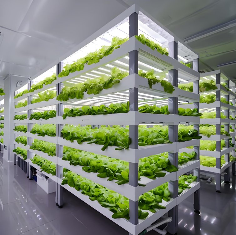 Breeding Capsule Container Intelligent Automatic Mushroom Intelligent Breeding Capsule