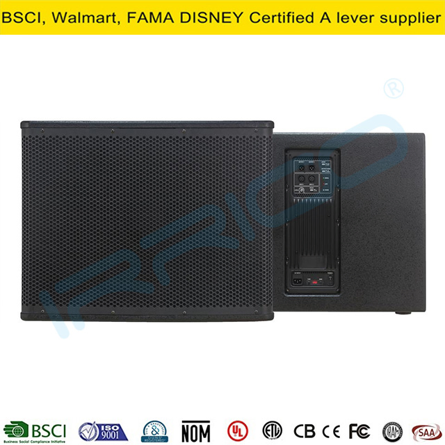 Original Factory 4000W 18" Active Professional Audio Subwoofer Crossover PA Speaker XLR Output Soundbox Bochina Palante Audio