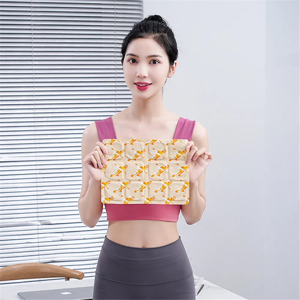 Multi-Scenario Use Long-Lasting Warmth Portable Self Heating Cushion
