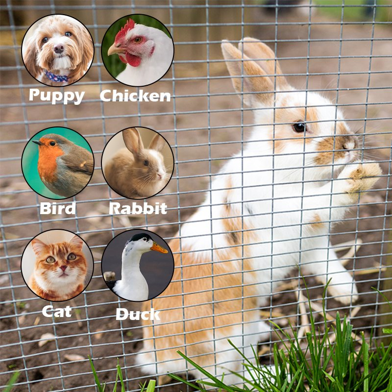 Best Price Galvanized Square Welded Wire Mesh / PVC Coated Galvanized Welded Wire Mesh for Fence