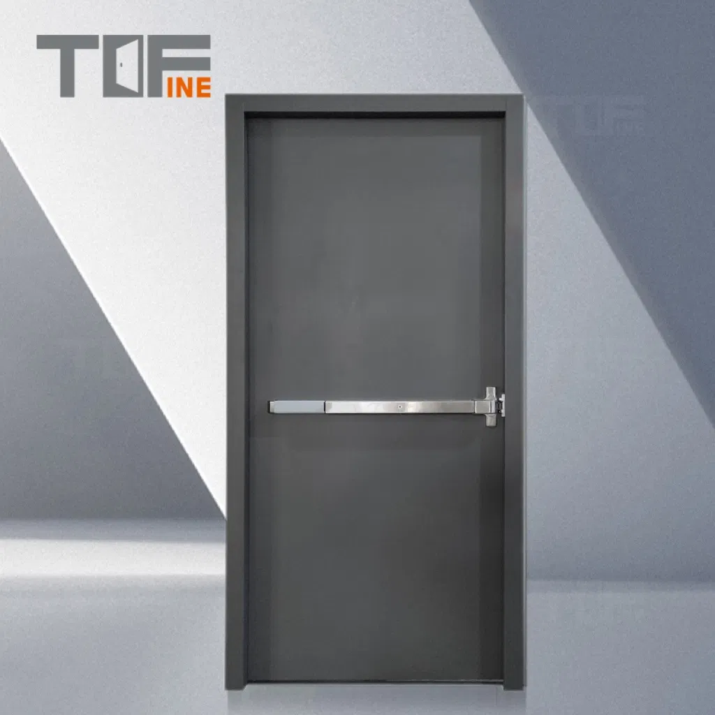 Металлическая противопожарная дверь с стеклом TOF