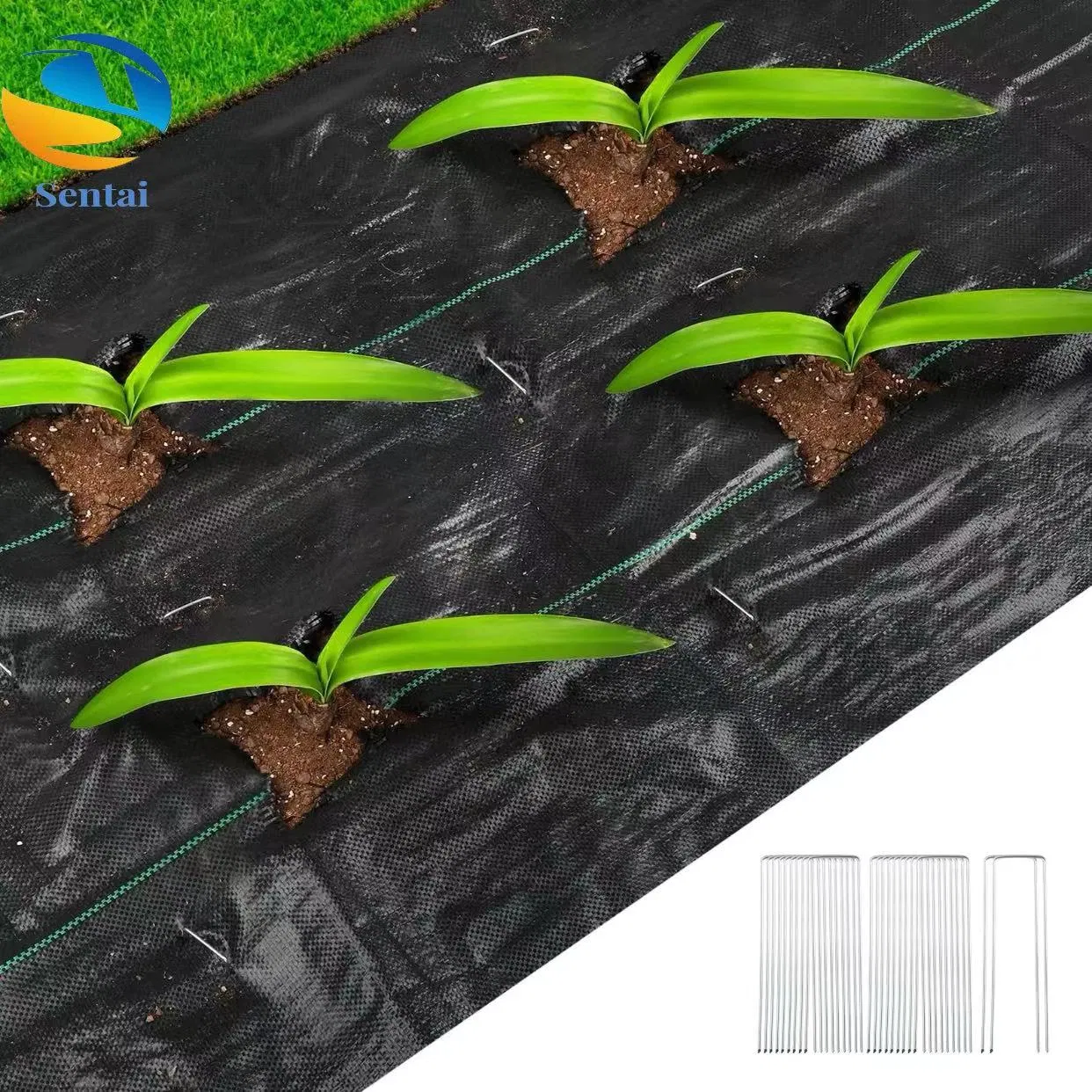 Agricultural Greenhouse PE Grass-Proof Cloth Garden Grass-Removing Cloth Flower Orchard Gardening Ground Cloth Anti Aging PP Woven Grass Proof Cloth