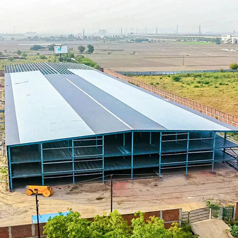 Customized Shed Wide Span Roof Industrial Steel Structure Building with Design