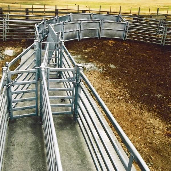 Cheap Price Wholesale Galvanized Portable Sheep Fence Panel and Goat Farm Fence