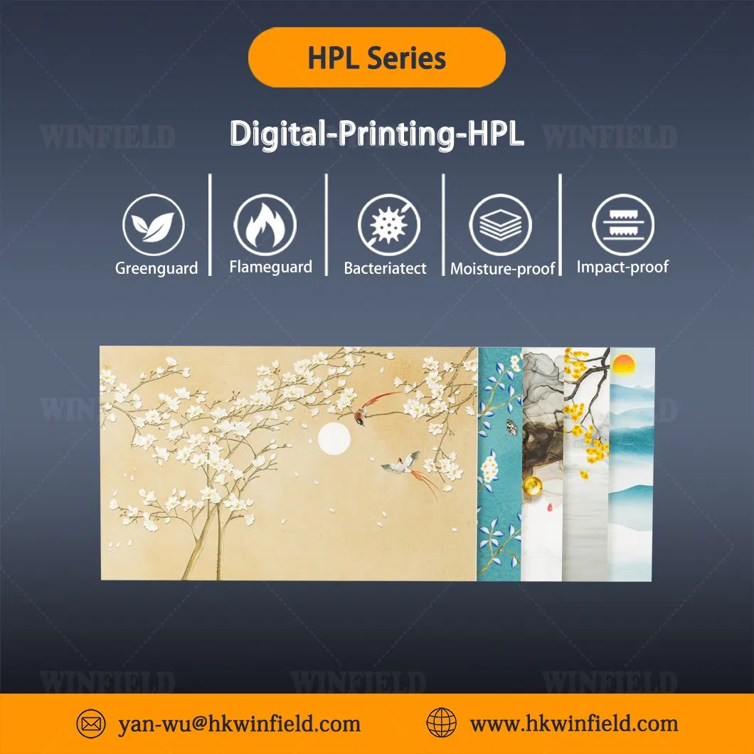 DIY Color Fireproof Customize Digital Printing HPL Panel HPL Laminate Sheet