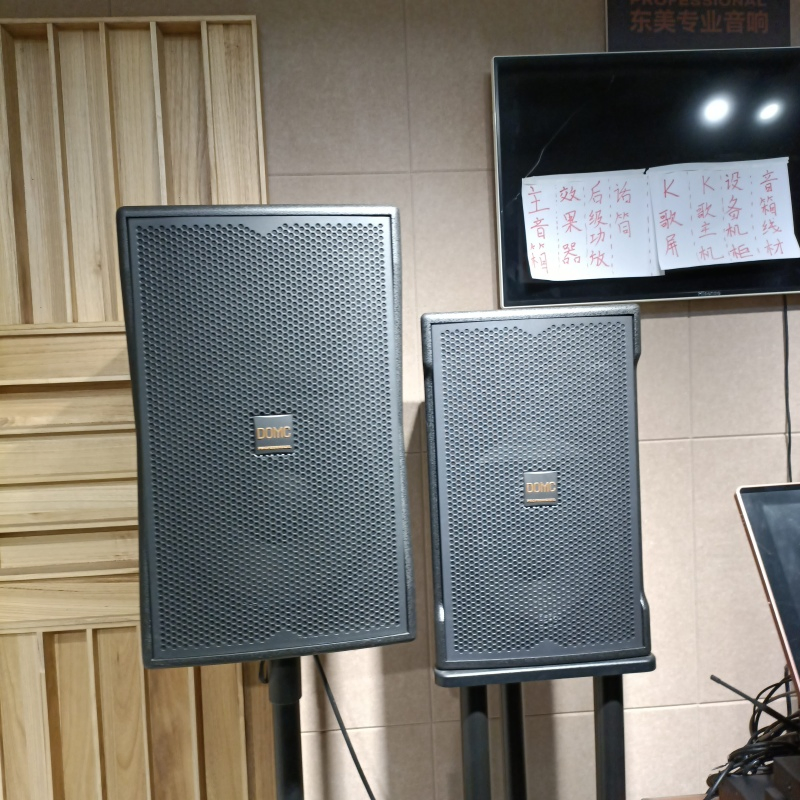 Advanced K210 10-Inch Speaker for PRO Studio Monitoring Needs