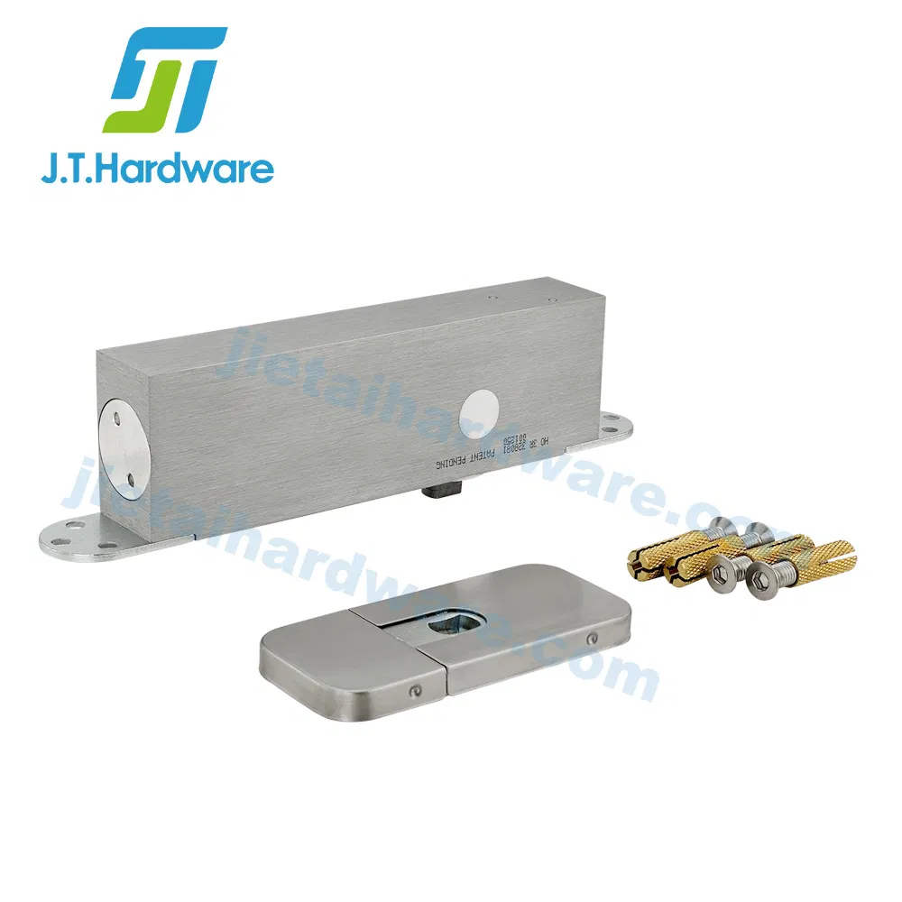 Concealed Wooden Door Hardware Adjustable Center Bottom Pivot for Factory Price