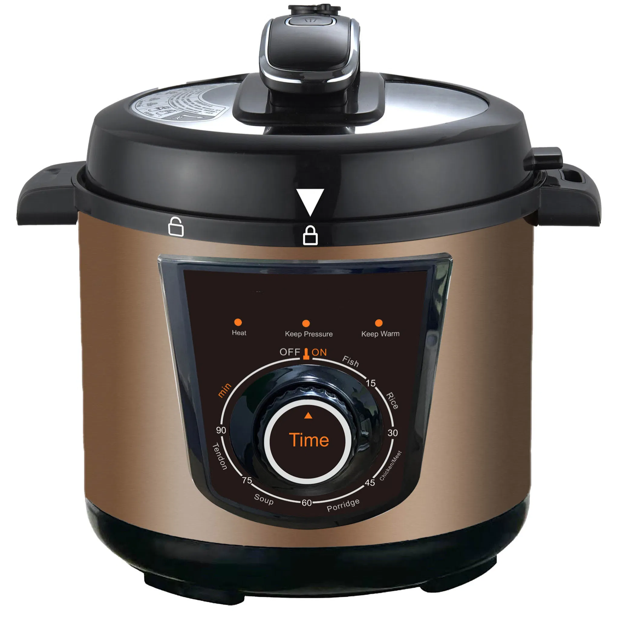 Multi Purpose Electric Pressure Cooker with Yogurt Making and Slow Cook Options